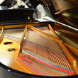 Ritmüller grand piano - Grand Pianos
